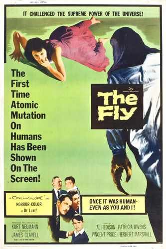 fly 1958  07 film star poster A4 Photo Print