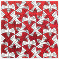flying fish mc escher A4 Photo Print