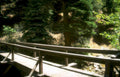 footbridge creek forest Vintage A4 Photo Print