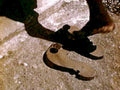 footprint sand shadow1980s 1990s A4 Photo Print
