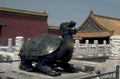forbidden city turtle 1980s 1990s A4 Photo Print