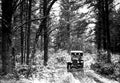 ford model t 1 Vintage world war A4 Photo Print