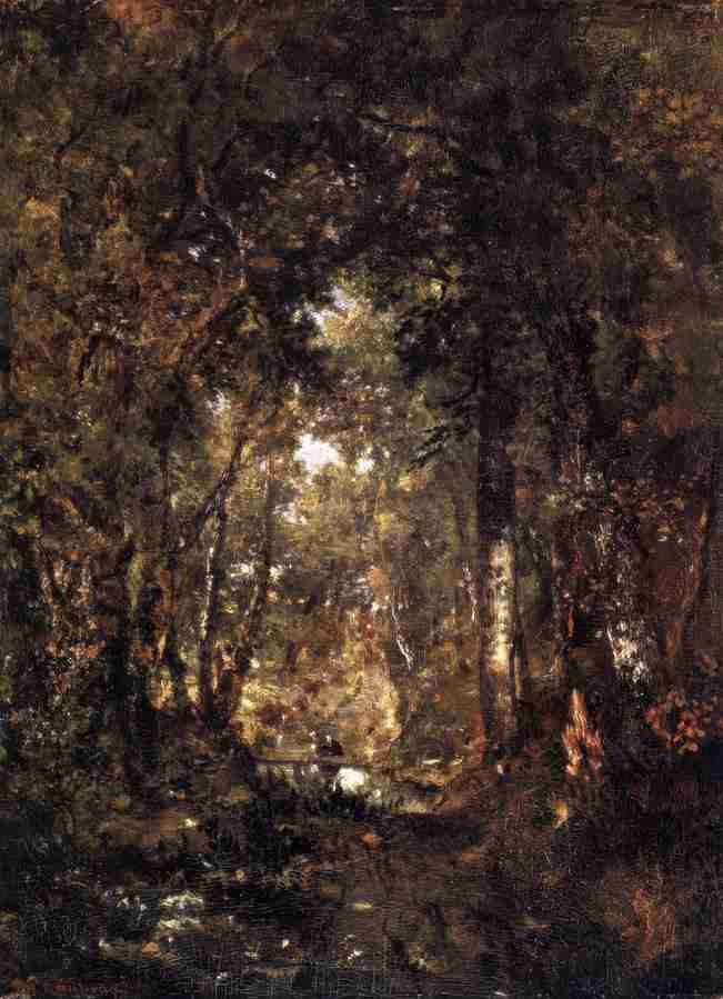 forest 8 Art A4 Photo Print UK