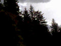 forest clouds hills1980s 1990s A4 Photo Print