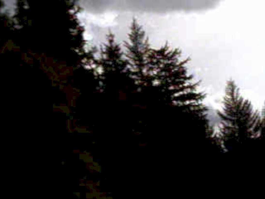 forest clouds hills1980s 1990s A4 Photo Print