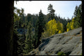 forest fall mountains1980s 1990s A4 Photo Print