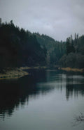 forest lake reflection GIGA 2