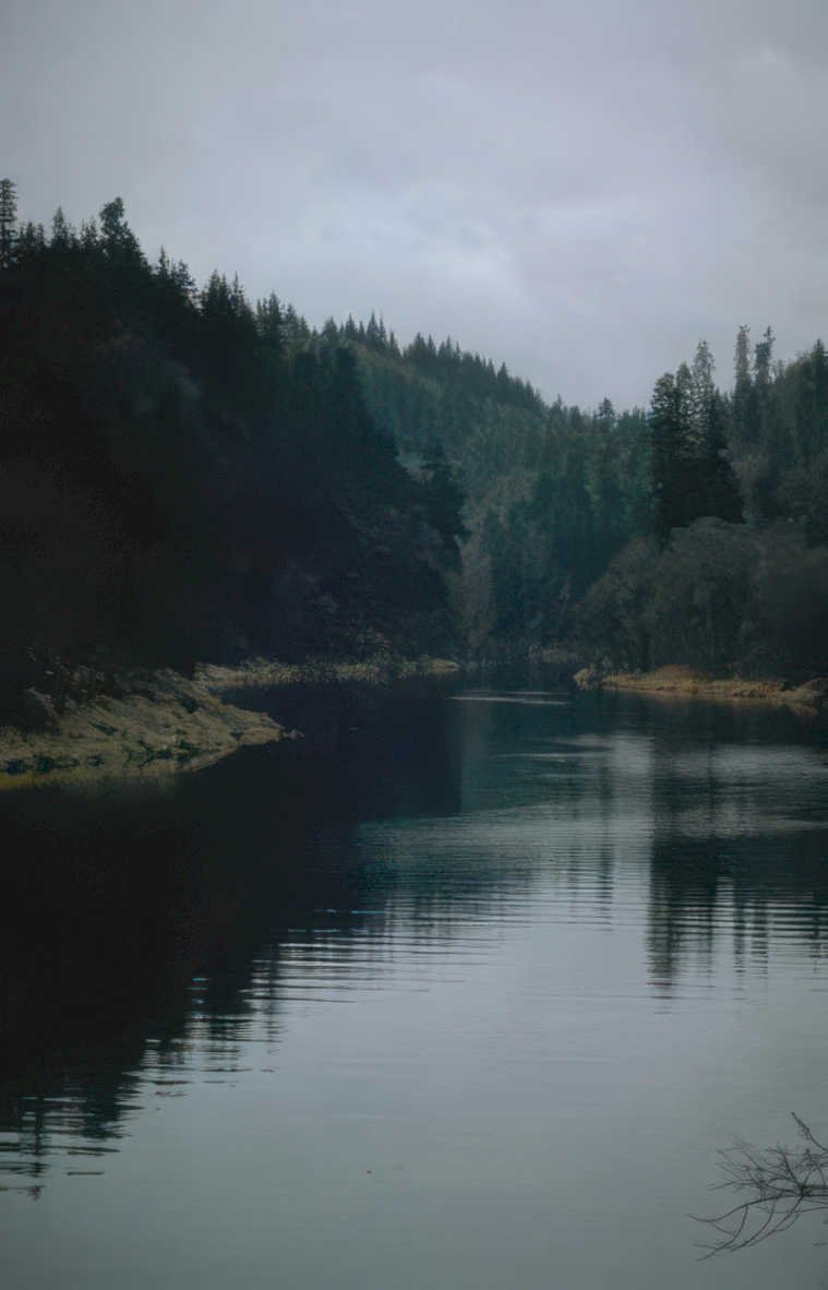 forest lake reflection GIGA 2