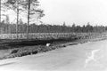 forest logging scandinavia Vintage world war A4 Photo Print