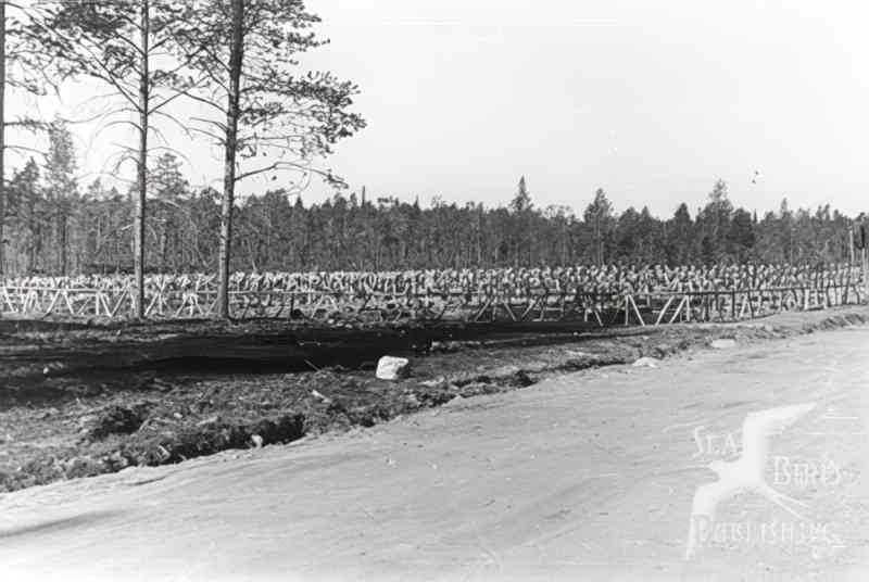 forest logging scandinavia Vintage world war A4 Photo Print