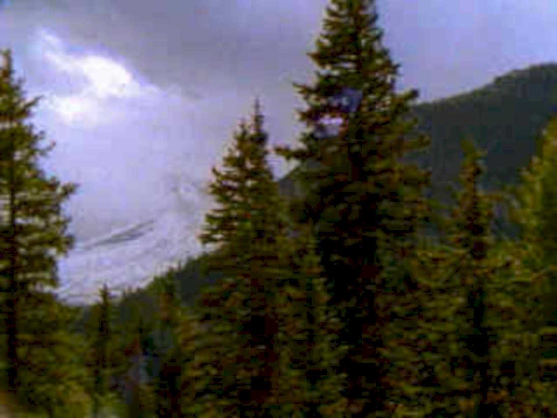 forest mountain banner1980s 1990s A4 Photo Print