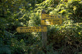 forest signage tiger 1980s 1990s A4 Photo Print