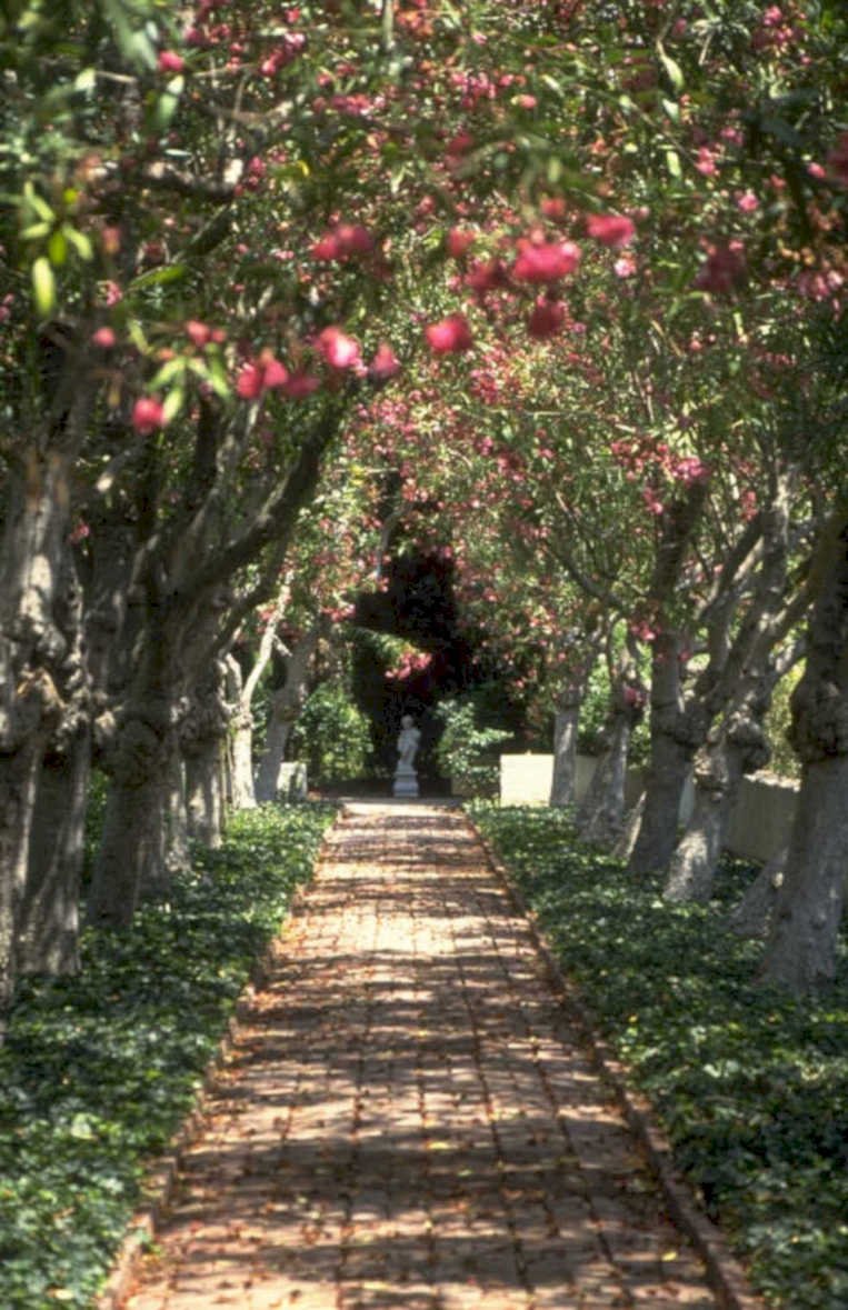 formal garden path 1980s 1990s A4 Photo Print
