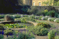 formal herb garden 1980s 1990s A4 Photo Print 42