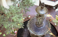 fountain ficus piano Vintage A4 Photo Print