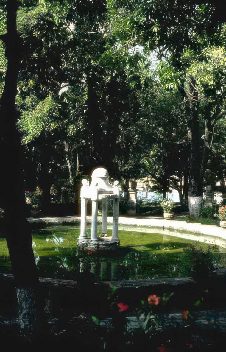 fountain garden roses Vintage A4 Photo Print