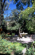 fountain garden scene 1980s 1990s A4 Photo Print