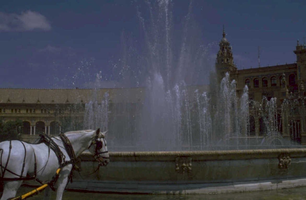 fountain horse carriage 1980s 1990s A4 Photo Print