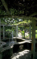 fountain lotus garden 1980s 1990s A4 Photo Print