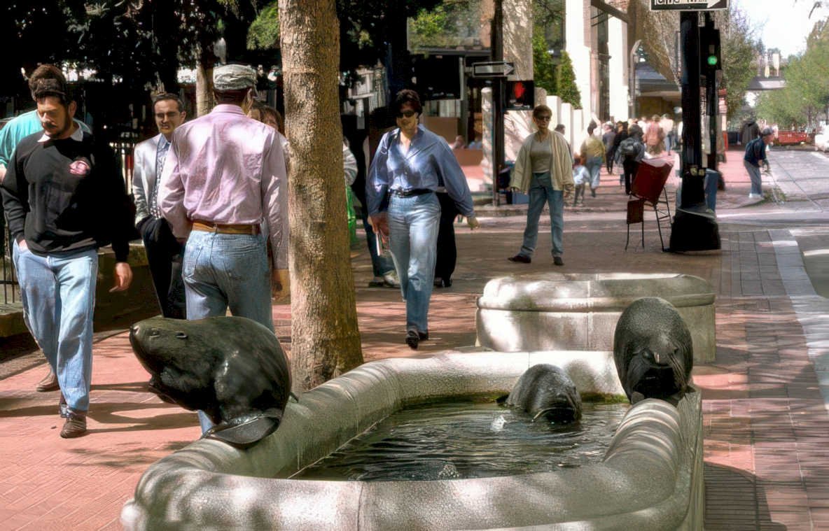fountain seal people Vintage A4 Photo Print