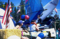 fourth july ski Vintage A4 Photo Print