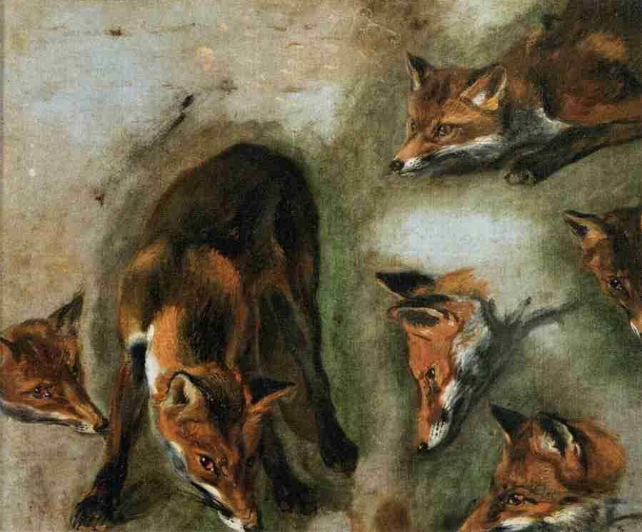 foxes Art A4 Photo Print
