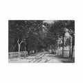 france perpignan 66 allee des marronniers ed couderc 125 Vintage A4 Photo Print