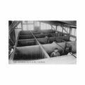 france valenciennes les douches Vintage A4 Photo Print