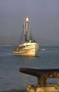 frances boy boat Vintage A4 Photo Print
