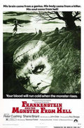 frankenstein and the monster from hell  01 film star poster A4 Photo Print