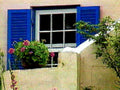 french window flowers1980s 1990s A4 Photo Print