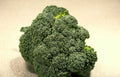 fresh broccoli head Vintage A4 Photo Print
