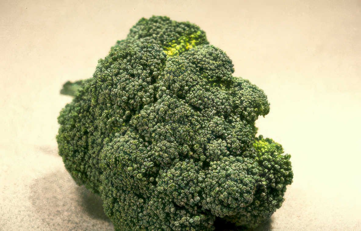 fresh broccoli head Vintage A4 Photo Print