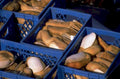 fresh clams crates 1980s 1990s A4 Photo Print