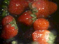fresh strawberries red1980s 1990s A4 Photo Print