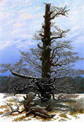 fried Oak Tree in the Snow Art A4 Photo Print