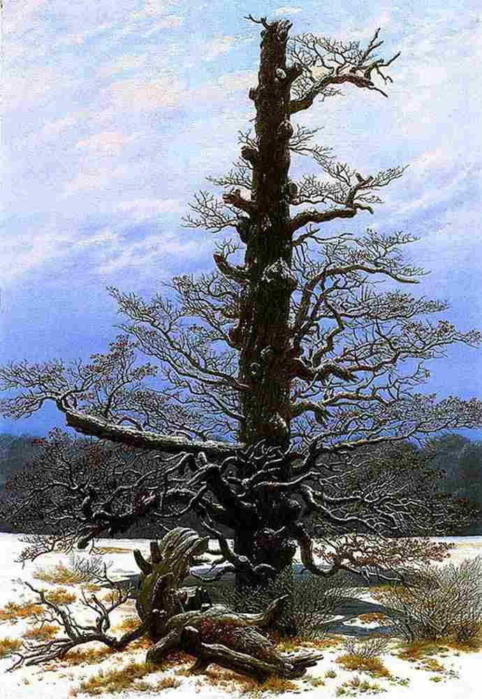fried Oak Tree in the Snow Art A4 Photo Print