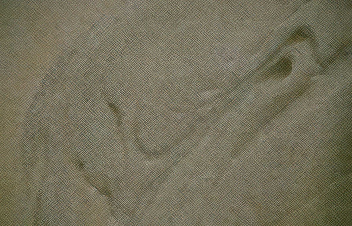 frog fabric sketch Vintage A4 Photo Print