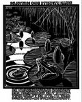 frog mc escher 1931 A4 Photo Print