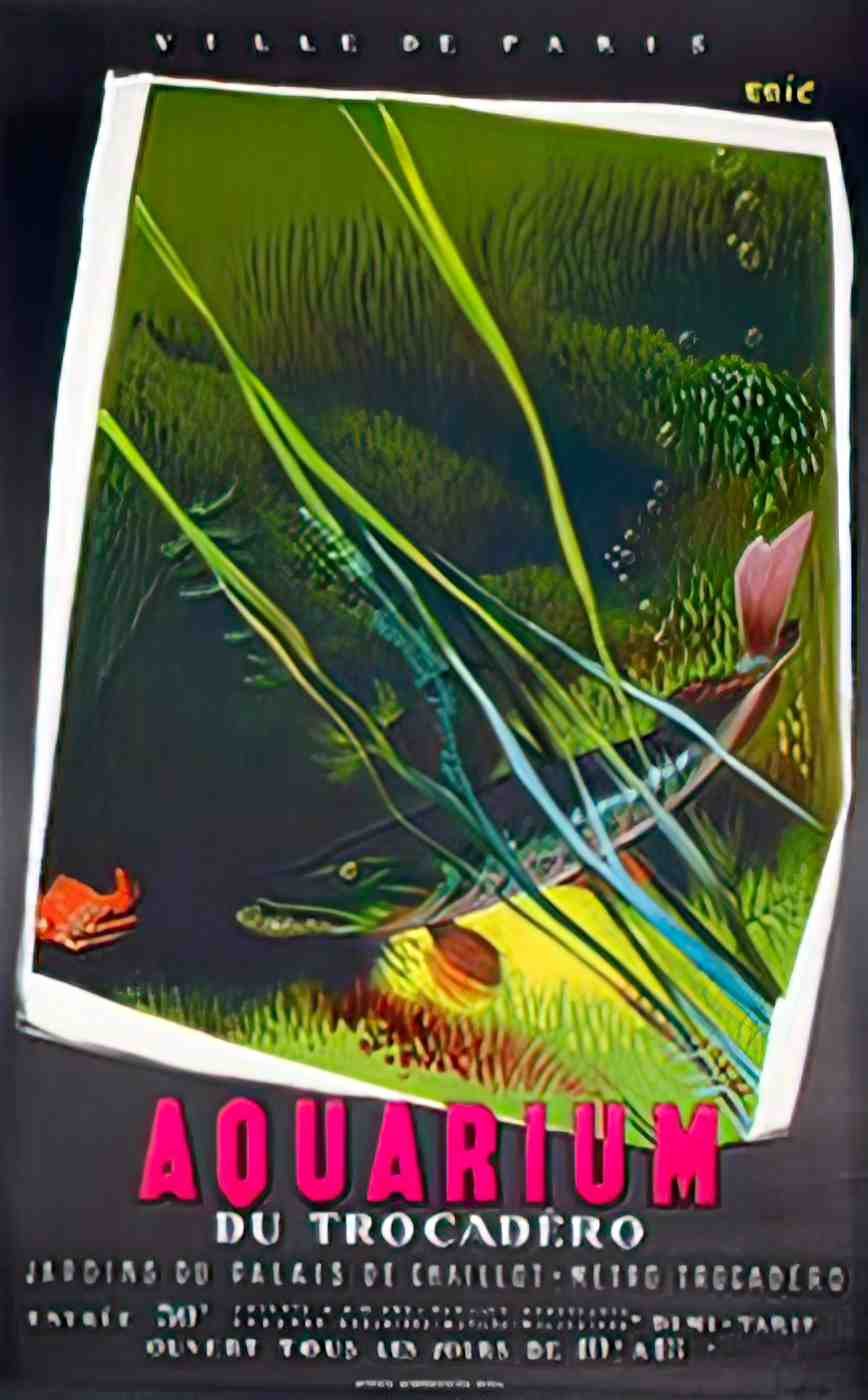 frontEricAquariumA Advert A4 Photo Print