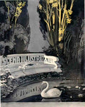 frontSwanLake Advert A4 Photo Print