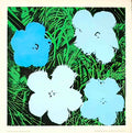 frontWarholFlowerBlu Advert A4 Photo Print