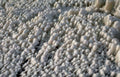 frozen foam beach Vintage A4 Photo Print