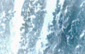 frozentissue icecrystal lungbiopsy