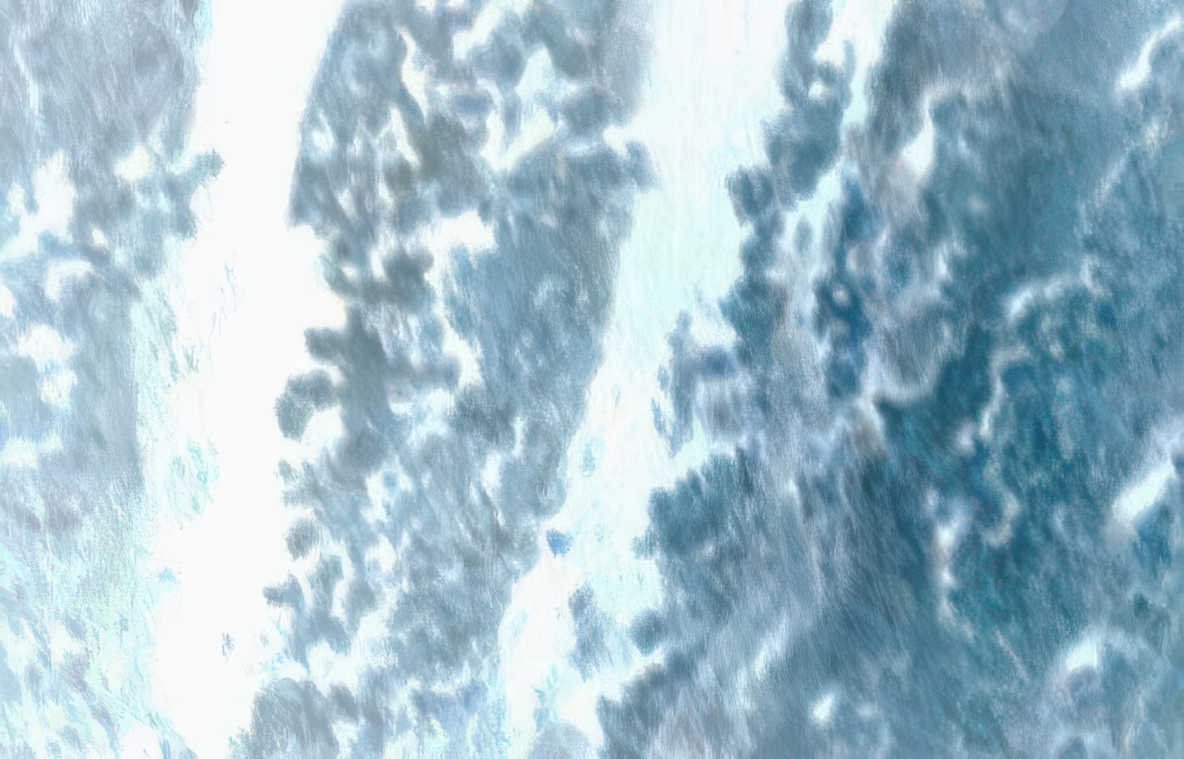 frozentissue icecrystal lungbiopsy