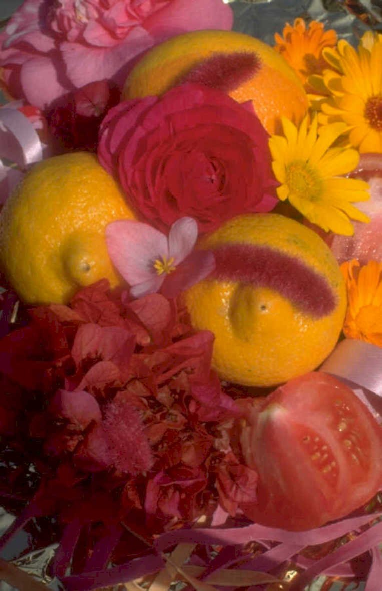 fruit flowers basket 1980s 1990s A4 Photo Print