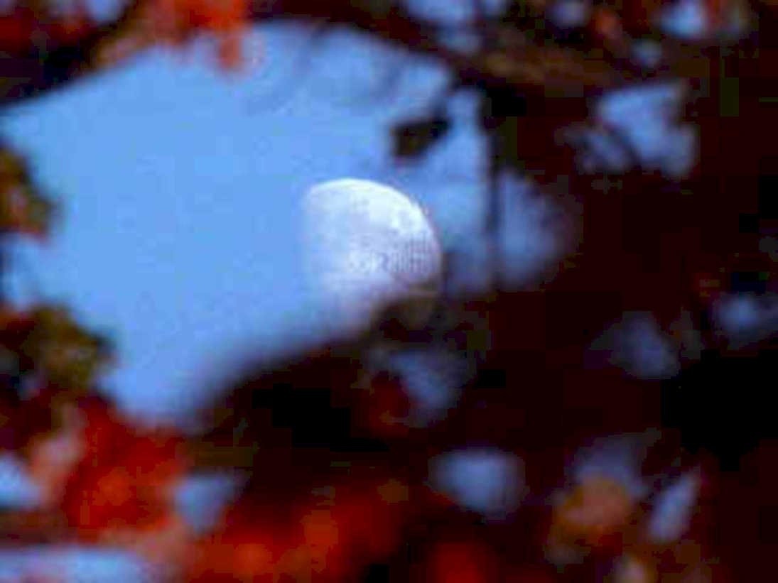 full moon autumn1980s 1990s A4 Photo Print