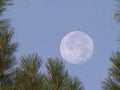 full moon nightscape1980s 1990s A4 Photo Print