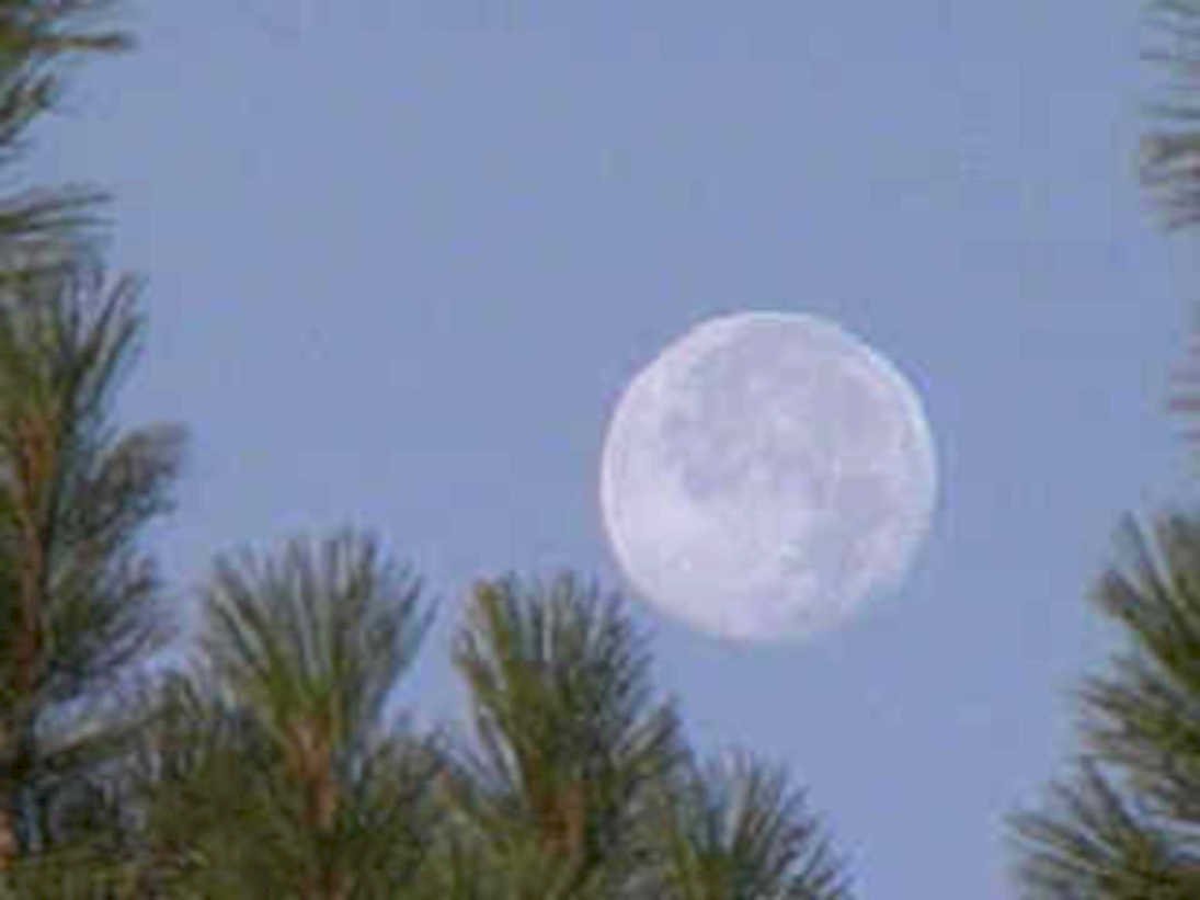 full moon nightscape1980s 1990s A4 Photo Print