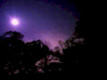full moon trees1980s 1990s A4 Photo Print